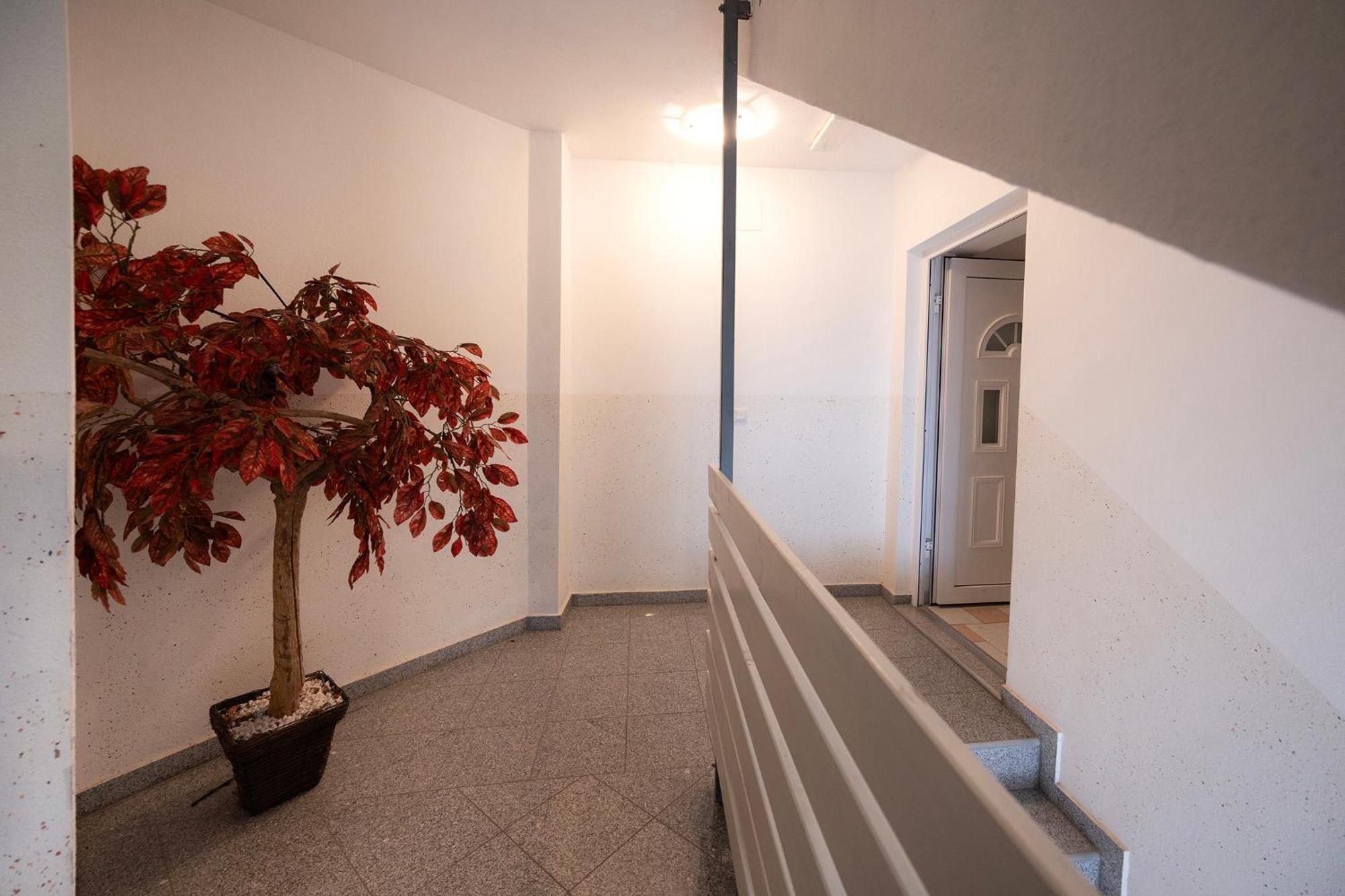 Grom Ribno Apartments Bled Ngoại thất bức ảnh